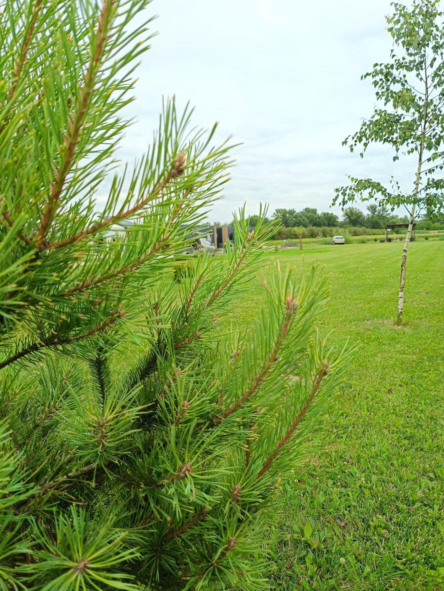 Ostoja Czersk Gora Kalwaria Zamek Krolowej Bony Domki Caloroczne Exteriör bild